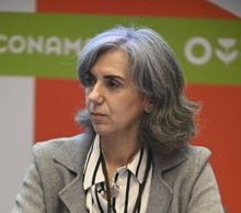 Mª del Carmen Alonso García